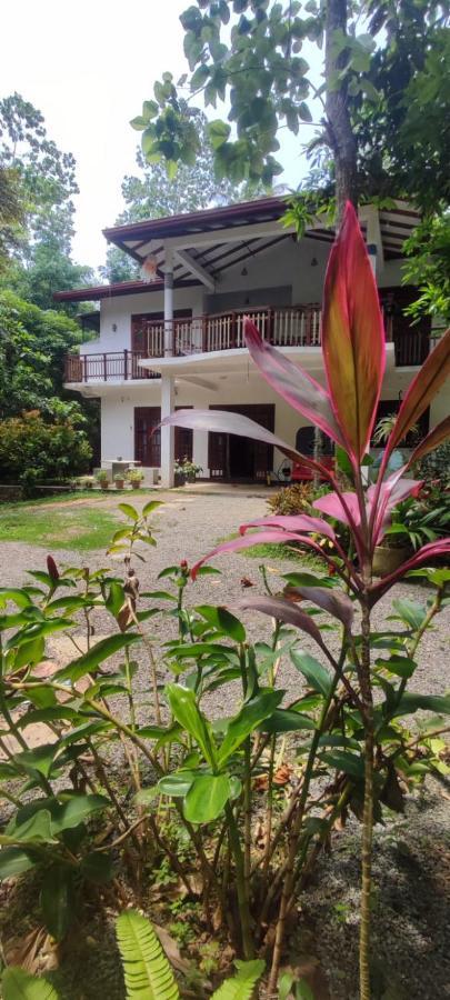 Breath House Hiriketiya Apartment Dikwella Ngoại thất bức ảnh
