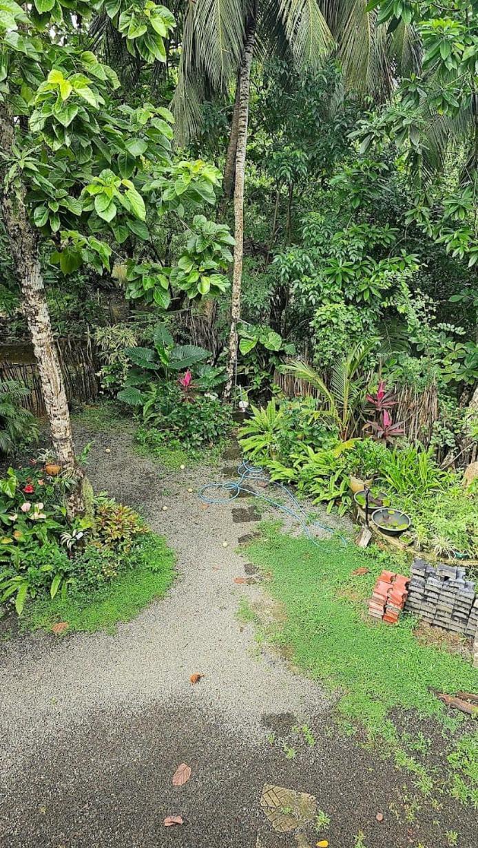 Breath House Hiriketiya Apartment Dikwella Ngoại thất bức ảnh